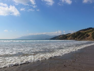 Coromandel Beaches