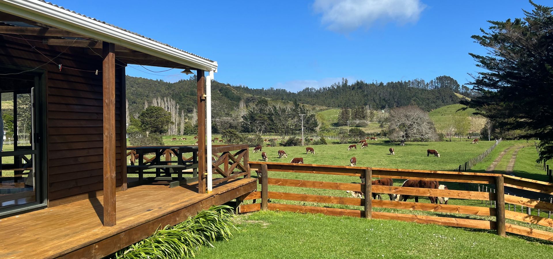 Coromandel accommodation